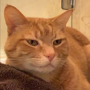 Meet your Posher, Carlie